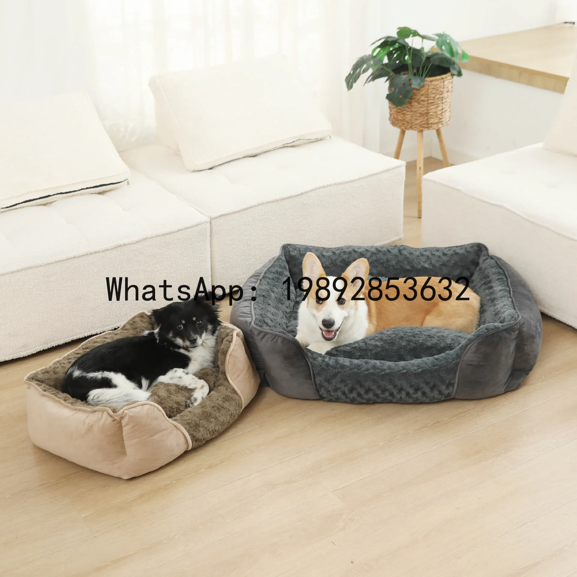 Pet X Supplies & Tack Howell - Casa para gatos X, canil semi-fechado