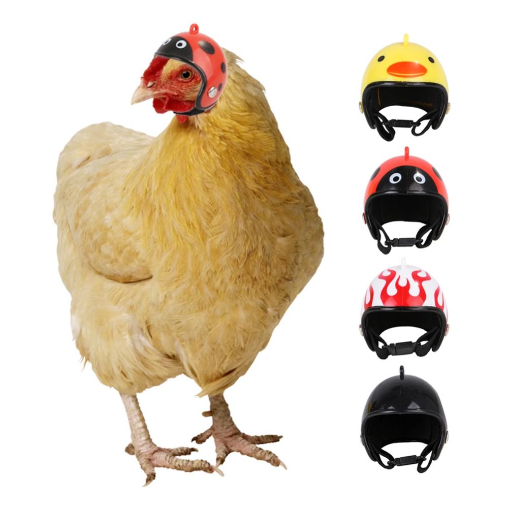 Pet X Supplies & Tack Howell - Capacete Protetor Divertido para Animais de