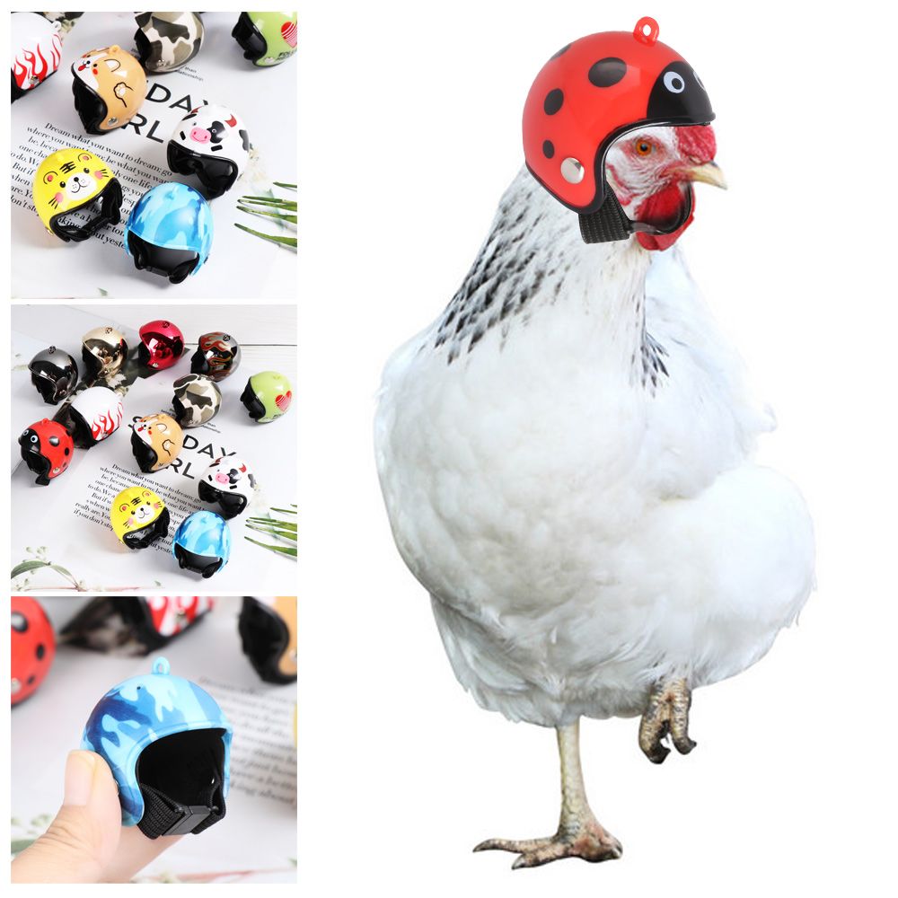 Pet X Supplies & Tack Howell - Capacete Protetor Engraçado para Animais de