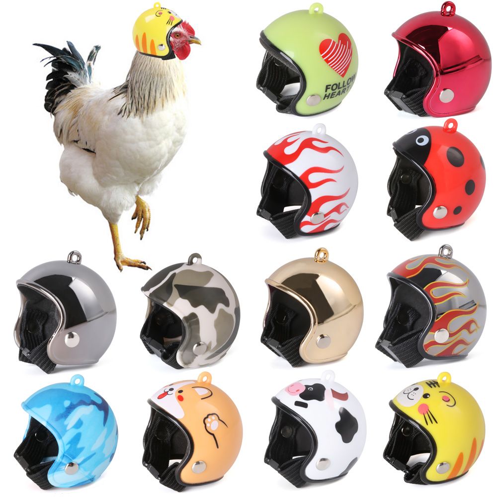 Capacete Protetor Divertido pa - Pet X Supplies & Tack Howell avaliação e preço
